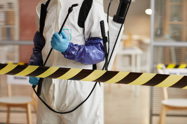 Professional Sewage Cleanup technician working in Lakewood, CA